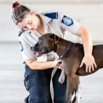 Animal Cruelty Laws and Criminal Penalties Across Different States